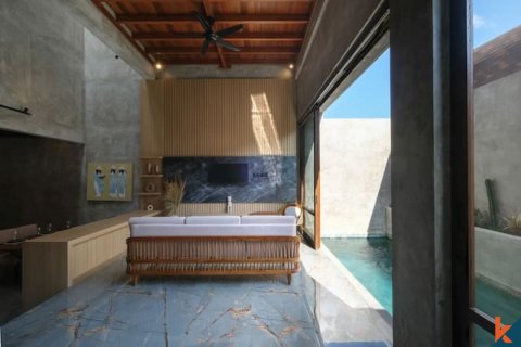 2 bedrooms Villa in Pererenan, Mengwi, Badung, Bali (11905) 2