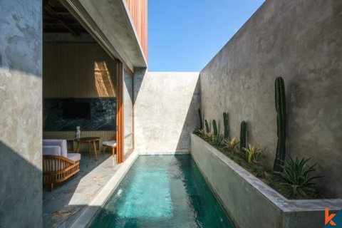 Vila 2 kamar tidur di Pererenan, Mengwi, Badung, Bali (11905)