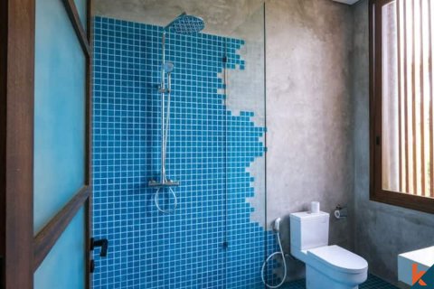 2 bedrooms Villa in Pererenan, Mengwi, Badung, Bali (11905) 11