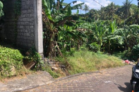 Land in Mengwi, Badung, Bali (11903) 5