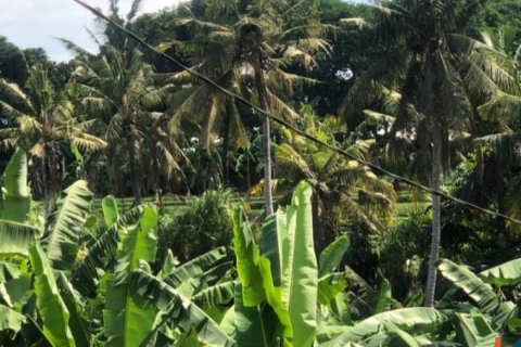 Land in Mengwi, Badung, Bali (11903) 4