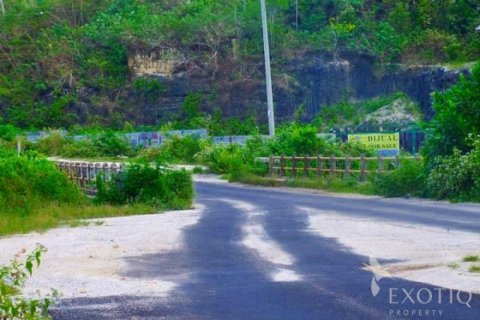 Land in Ungasan, Badung, Bali (12327) 3