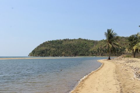 Tanah kavling di Bali (12331)