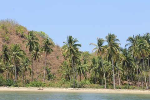 Land in Bali (12331) 3