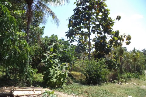 Land in Denpasar, Bali (12330) 3