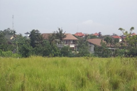 Land in Badung, Bali (12329) 11