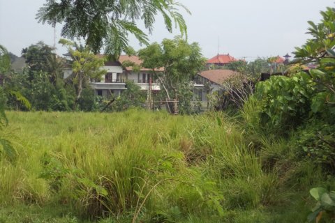 Land in Badung, Bali (12329) 5