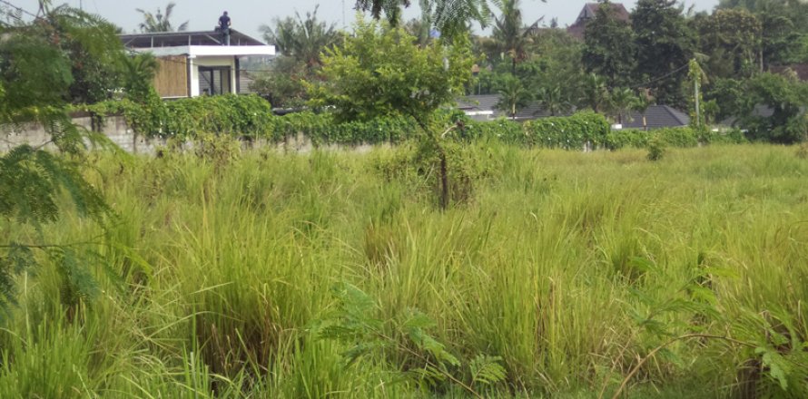 Land in Badung, Bali (12329)