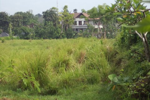 Land in Badung, Bali (12329) 3