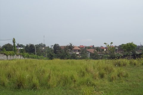 Land in Badung, Bali (12329) 8