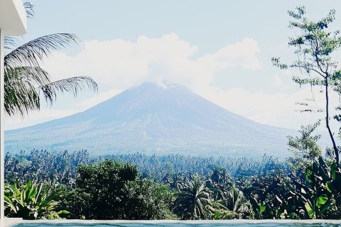 2 bedrooms Apartment in PRANA HOME, Karangasem, Karang Asem, Bali (10264) 3