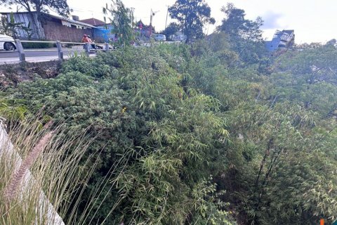 Land in Bali (11773) 6