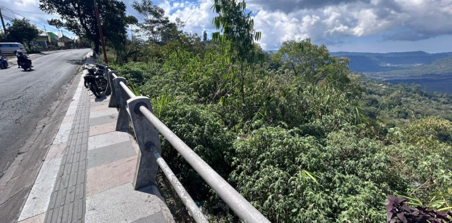 Land in Bali (11773)