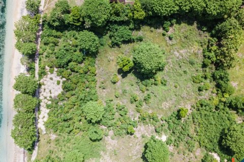 Land in Bali (11774) 8