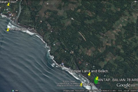 Land in Tabanan, Bali (11761) 6