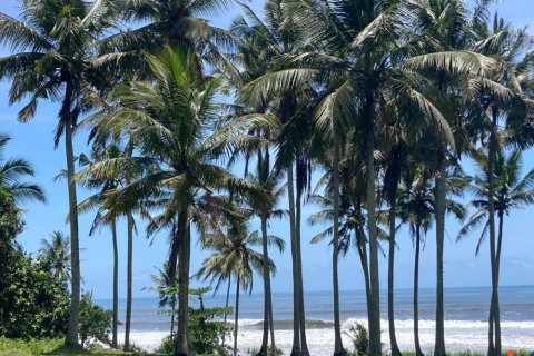 Land in Tabanan, Bali (11761) 2