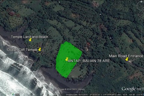 Land in Tabanan, Bali (11761) 5