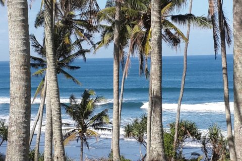 Land in Tabanan, Bali (11761) 3