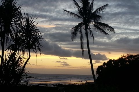 Land in Tabanan, Bali (11761) 4
