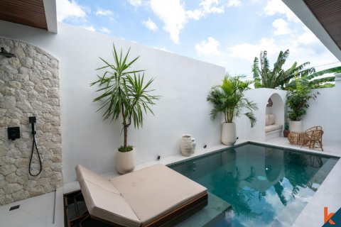 2 bedrooms Villa in Badung, Bali (11766) 2