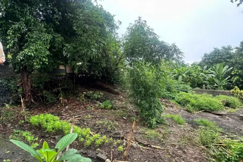 Land in Badung, Bali (11484) 2