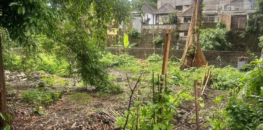 Land in Badung, Bali (11484)