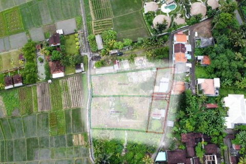 Tanah kavling di Tabanan, Bali (12243)