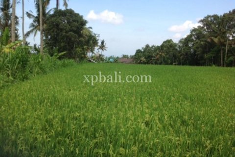 2000m2 Land in Gianyar, Bali (1012) 3