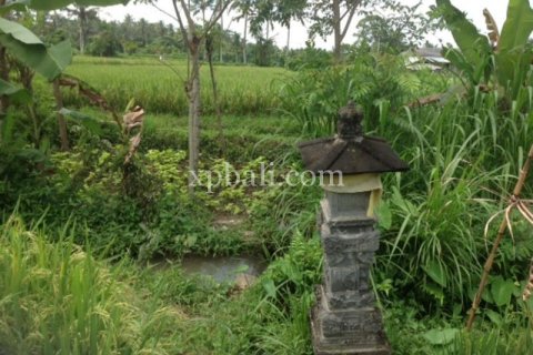2000m2 Land in Gianyar, Bali (1012) 2