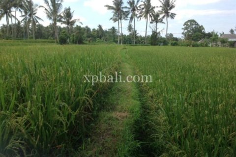 2000m2 Land in Gianyar, Bali (1012) 5