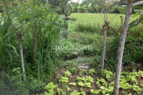 2000m2 Land in Gianyar, Bali (1012) 4
