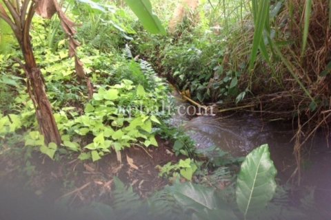 2000m2 Land in Gianyar, Bali (1012) 7