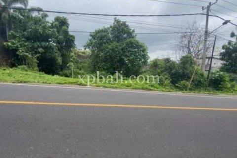 Tanah kavling 650m2 di Kuta Selatan, Badung, Bali (5928) 5