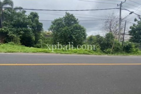 Tanah kavling 650m2 di Kuta Selatan, Badung, Bali (5928) 6