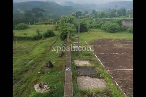 Tanah kavling 3800m2 di Lovina, Anturan, Buleleng, Bali (5927)