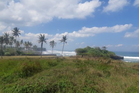 Land in Tabanan, Bali (12307) 6