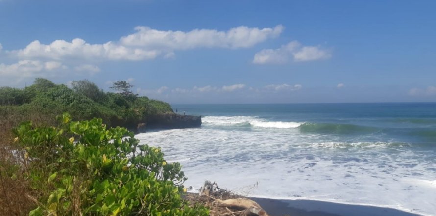 Land in Tabanan, Bali (12307)