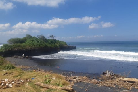 Land in Tabanan, Bali (12307) 5
