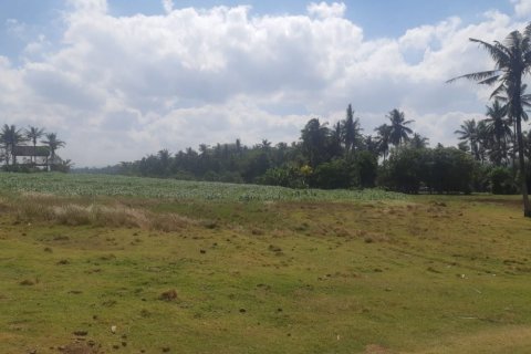 Land in Tabanan, Bali (12307) 4