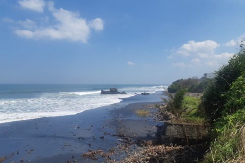 Land in Tabanan, Bali (12307) 2