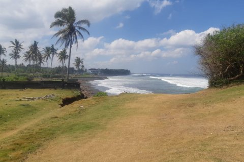 Land in Tabanan, Bali (12307) 3