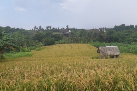 Tanah kavling di Tabanan, Bali (12311)