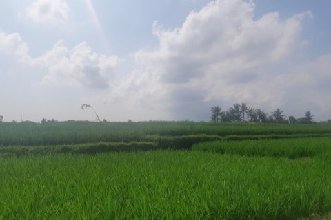 Tanah kavling di Tabanan, Bali (12309)
