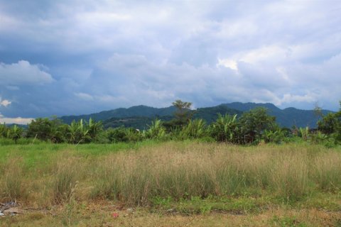 Land in Klungkung, Bali (12308) 3
