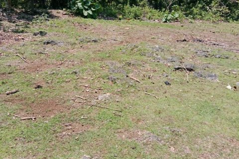 Tanah kavling 1430m2 di Kuta Selatan, Badung, Bali (9787) 12