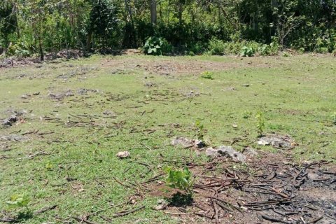 Tanah kavling 1430m2 di Kuta Selatan, Badung, Bali (9787) 3
