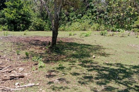 Tanah kavling 1430m2 di Kuta Selatan, Badung, Bali (9787) 7
