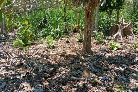 Tanah kavling 1430m2 di Kuta Selatan, Badung, Bali (9787) 11