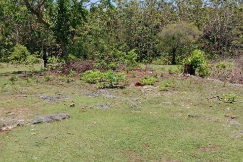 Tanah kavling 1430m2 di Kuta Selatan, Badung, Bali (9787) 6