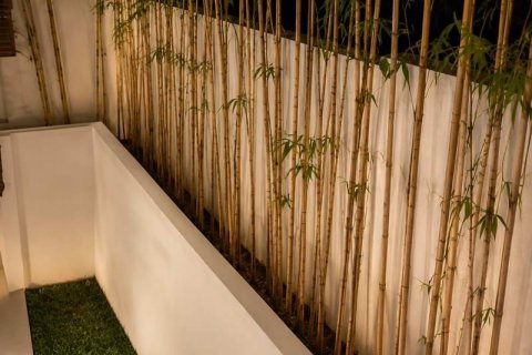 2 bedrooms Villa in Canggu, Badung, Bali (13721) 16